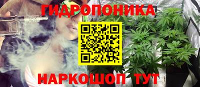 индика Ликино-Дулёво